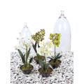 Potted Orchid (x4 Asst.) 14"H Polyester/Ceramic