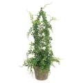 Hostag Leaf Topiary 27"H Plastic