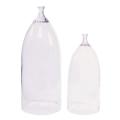 Glass Dome (Set of 2) 15"H, 20"H