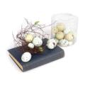 Mixed Eggs (Clear Box of 24) 1" - 3"L Plastic/Vine