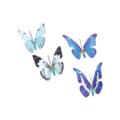 Butterfly (Box of 12) 2"L Plastic