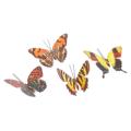 Butterfly (Box of 12) Plastic