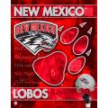 NCAA U New Mexico Lobos 14x20 poster