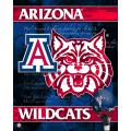 NCAA U Arizona Wildcats 14x20 poster