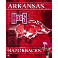 NCAA U Arkansas Razorbacks 14x20 poster