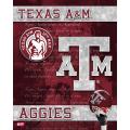 NCAA Texas A&M Aggies 14x20 poster