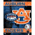 NCAA U Auburn Tigers 14x20 posters