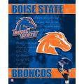 NCAA Boise State U Broncos 14x20 poster
