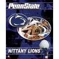 NCAA Penn State U Nittany Lions 14x20 poster