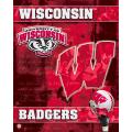 NCAA U Wisconsin Badgers 14x20 poster