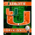 NCAA U Miami (Florida) Hurricanes 14x20 poster