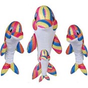 21" Rainbow The Dolphin