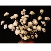 Mini Rose Branch - 60 LED Lights