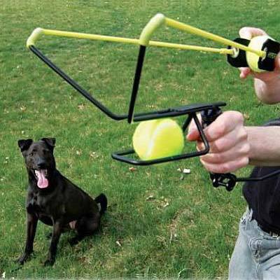 UPC 859363000086 product image for 2 Ball Hyper Dog | upcitemdb.com