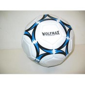 Vinyl Soccer Ball