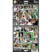 Beagle Sticker