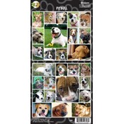 Pit Bull Sticker