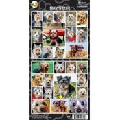 Silky Terrier Sticker