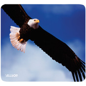 Allsop Bald Eagle Mouse Pad