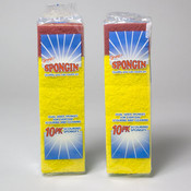 Scouring Sponges