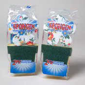 Scouring Sponges