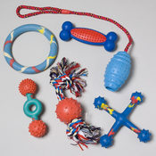 Dog Toys
