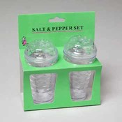 Clear Plastic Salt &amp; Pepper Set