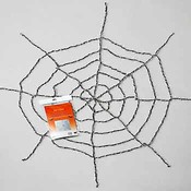 Stretchy Spider Web