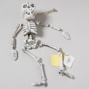 Skeleton 13.5" Plastic Jointed