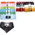 Women's Fashion Belts