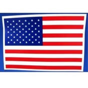 USA Flag Window Cling