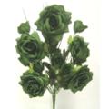 Open Rose Bush x 14