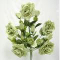 Open Rose Bush x 14