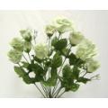 Rose Bud Bush X 14