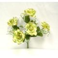 Sheer Open Rose Bush X 5
