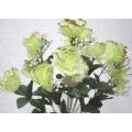 Sheer Open Rose Bush