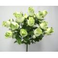 Velvet Rose Bud Bush X24