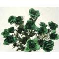 Caesar Open Rose Bush x 14
