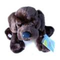 Webkinz 8.5" Chocolate Labrador Lab Dog