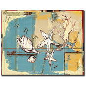 Seashells IV by Miguel Paredes-24x32 Ready to Hang