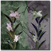 Flower by Miguel Paredes-24x24 Ready to Hang Canva