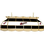 NHL Phoenix Coyotes Stained Glass 40 inch Lighting