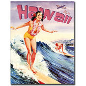 Hawaii-Gallery Wrapped 24x32 Canvas Art