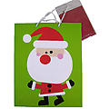 Brand Name Christmas Gift Bag with Tissue Paper