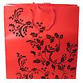 Brand Name Red Gift Bag
