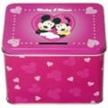 Mickey &amp; Minnie "True Love" Rectangular Tin Bank