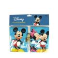 Mickey &amp; Minnie Mini Diary &amp; Note Pad Set