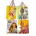 Hannah Montana Small Gift Bag