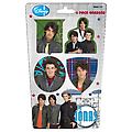 The Jonas Brothers 4 Pack Die Cut Erasers