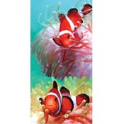 Two Clonfish Beach Towel